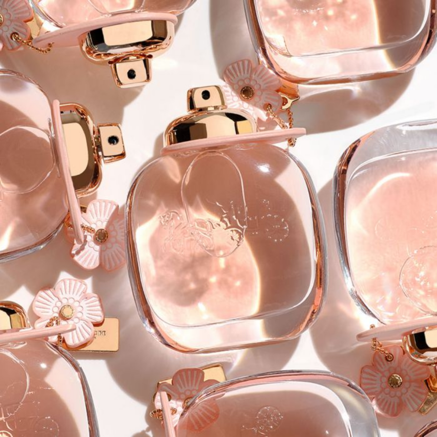 Coach Floral Eau De Parfum 50ml