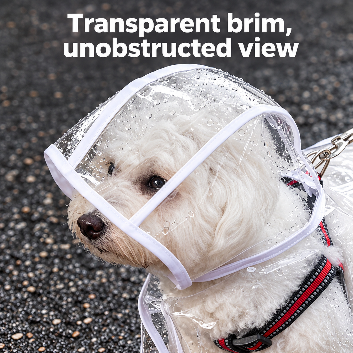 Premium Transparent Dog Raincoat