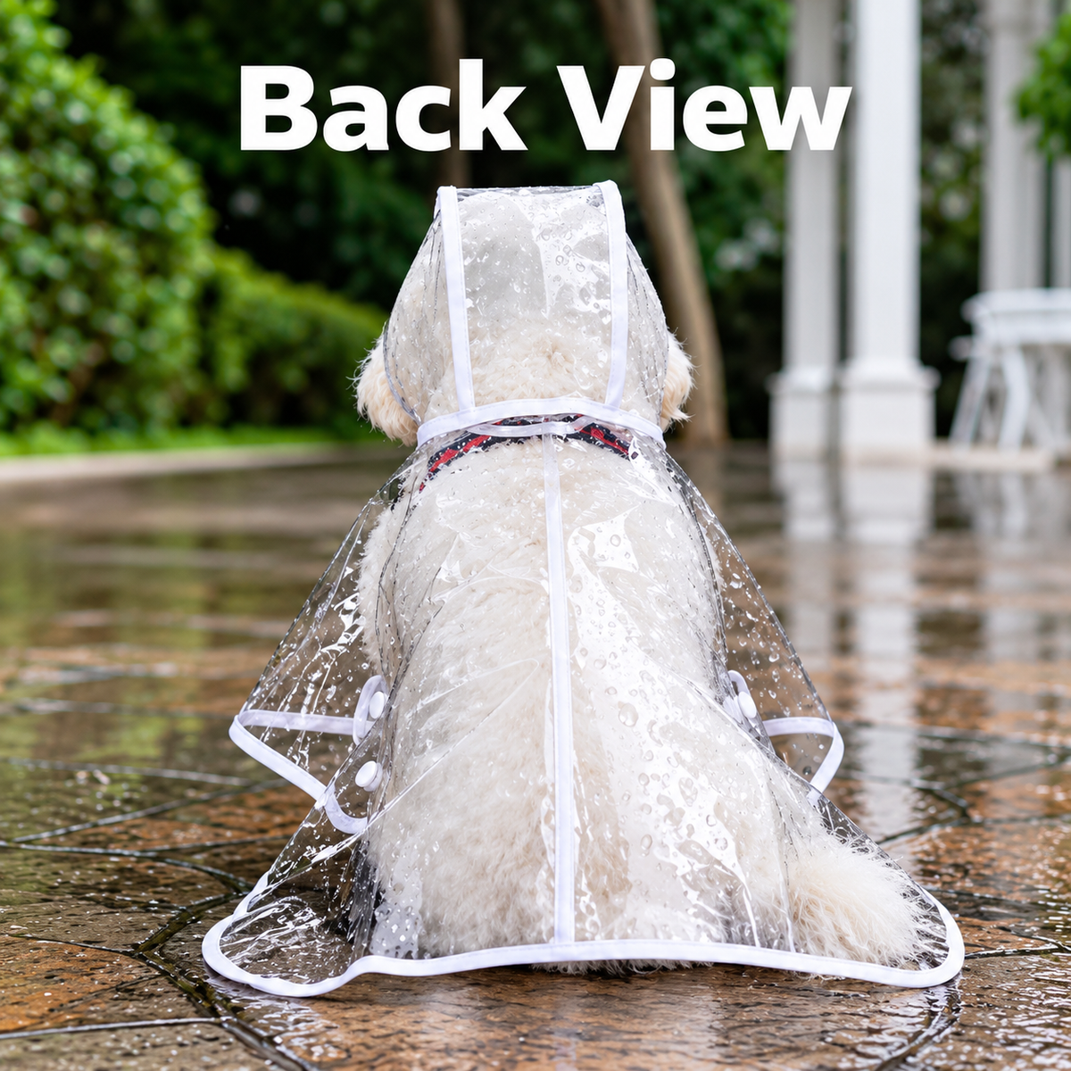 Premium Transparent Dog Raincoat
