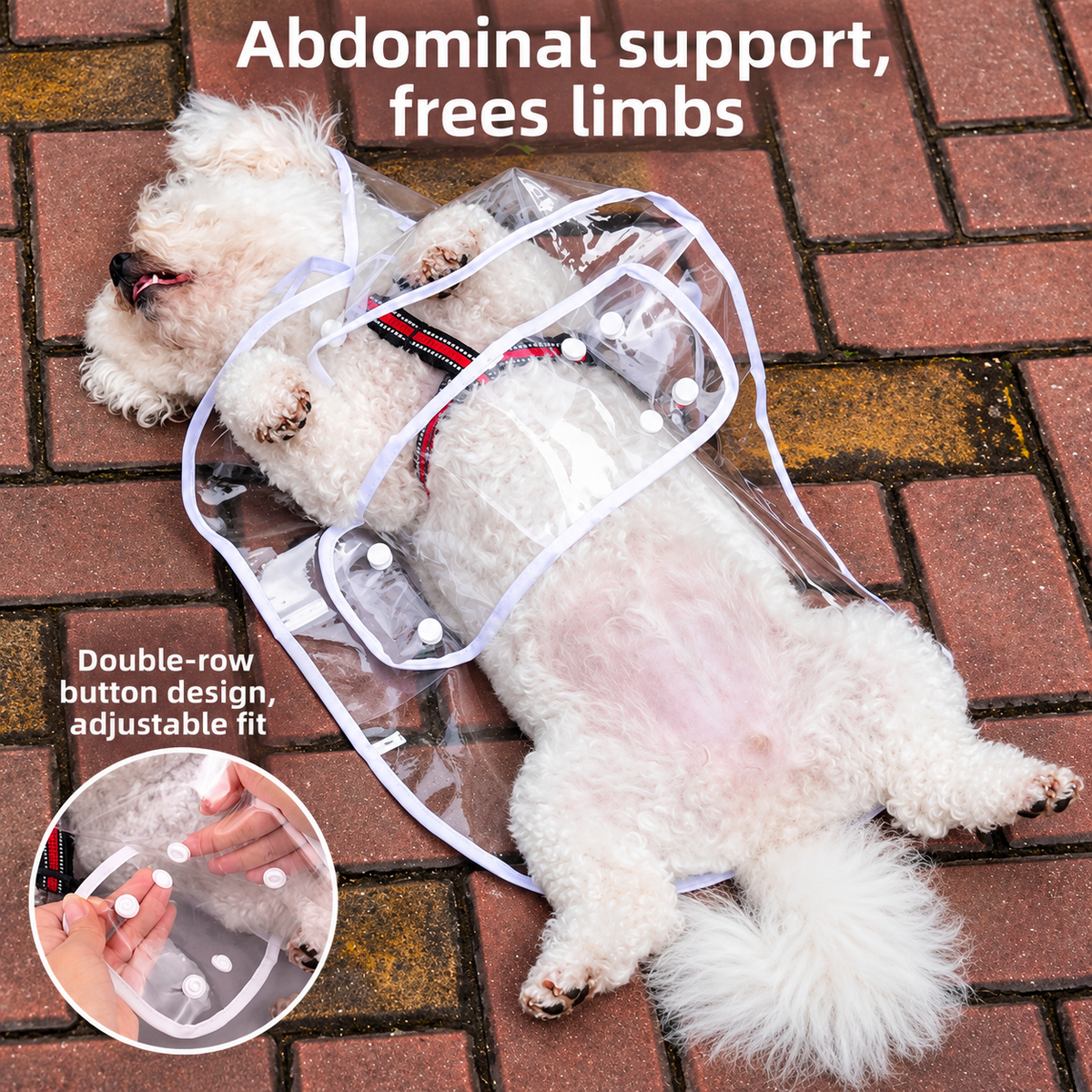 Premium Transparent Dog Raincoat
