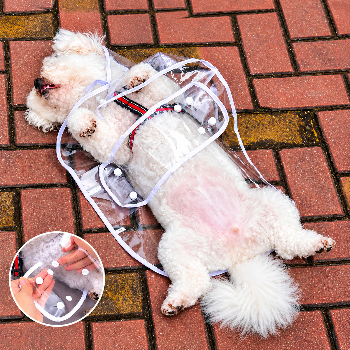 Premium Transparent Dog Raincoat