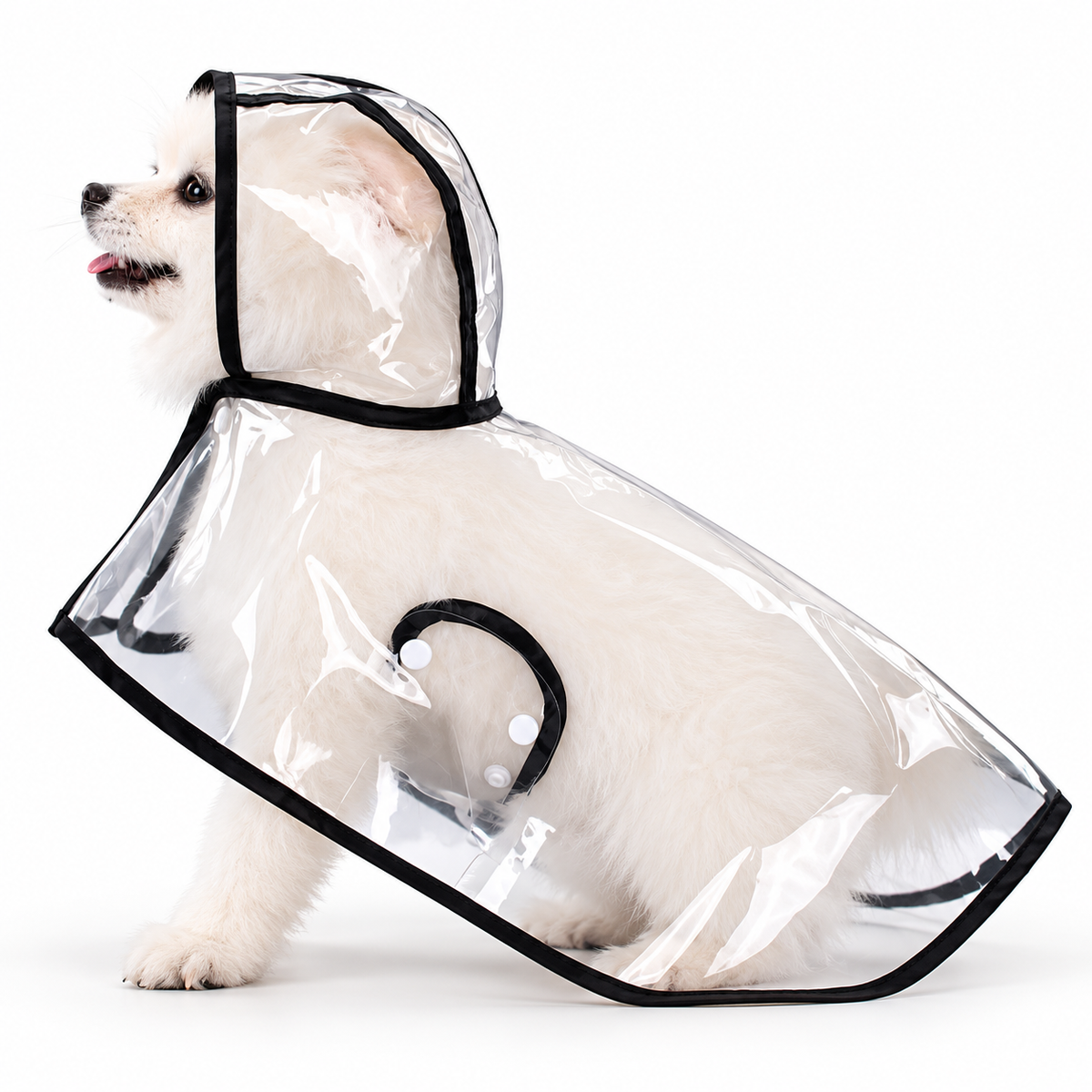 Premium Transparent Dog Raincoat