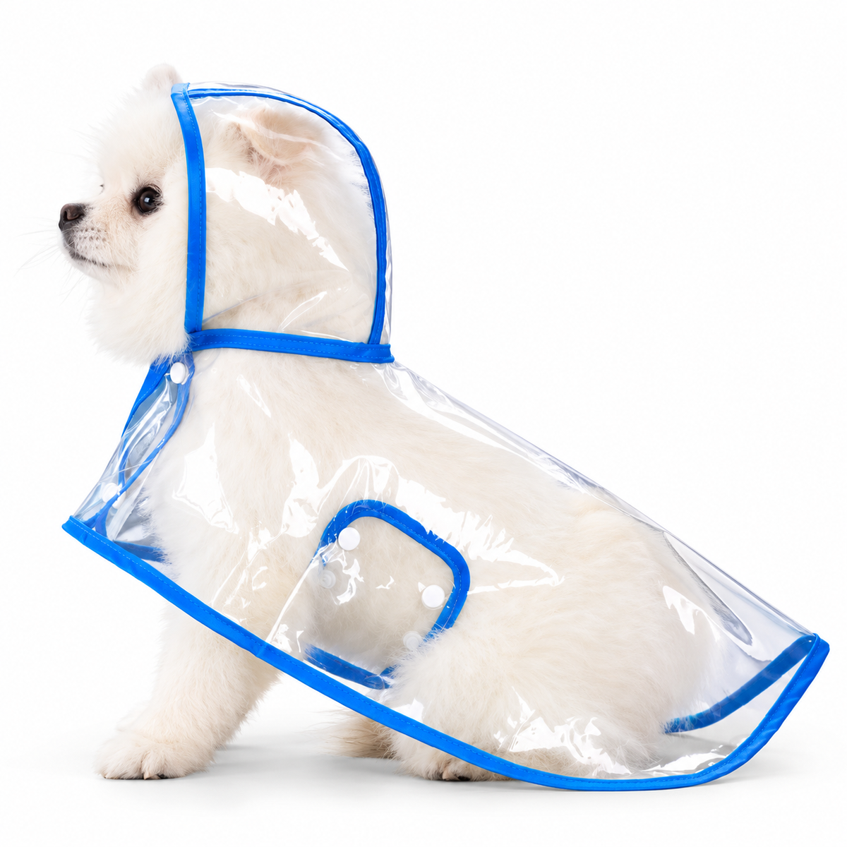 Premium Transparent Dog Raincoat