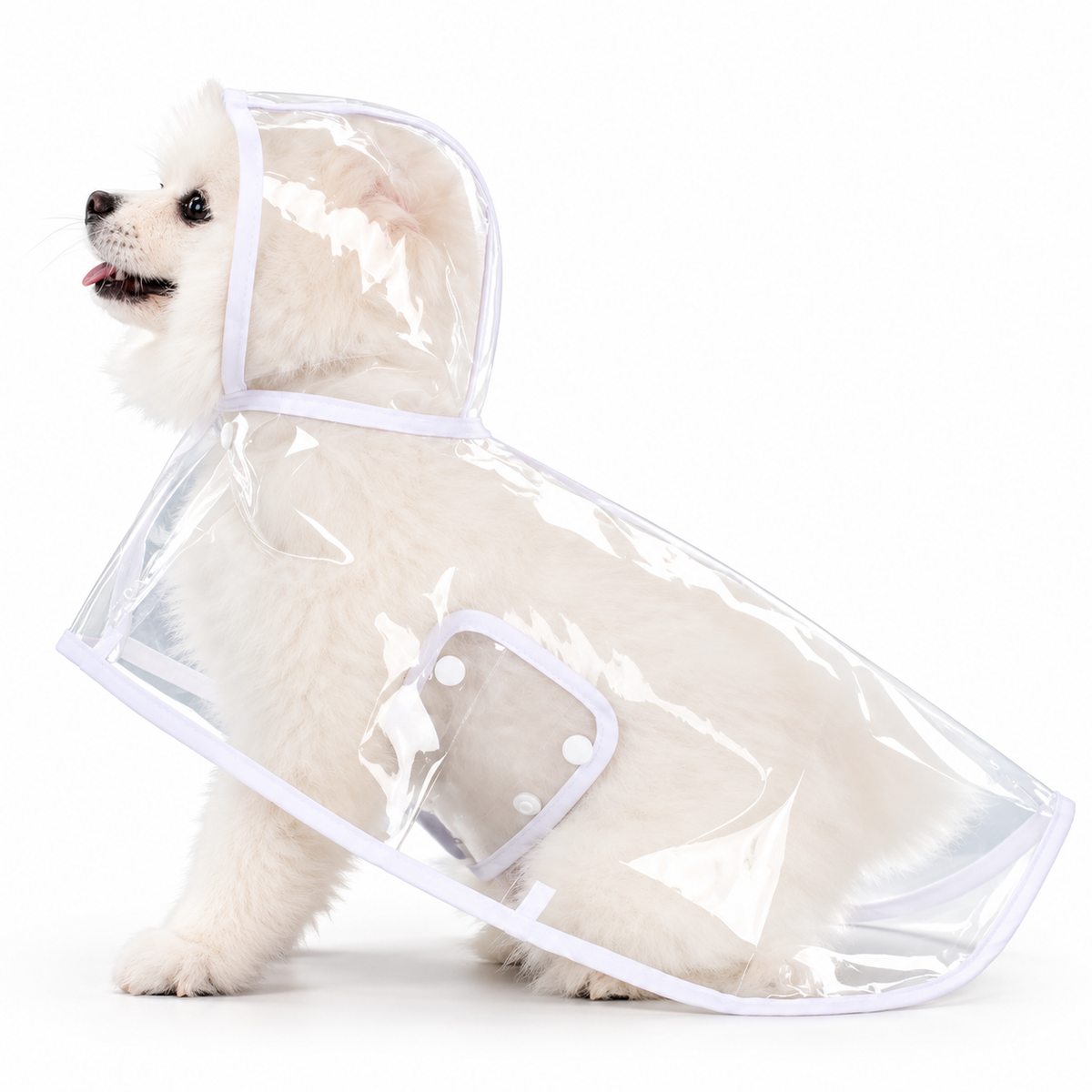 Premium Transparent Dog Raincoat