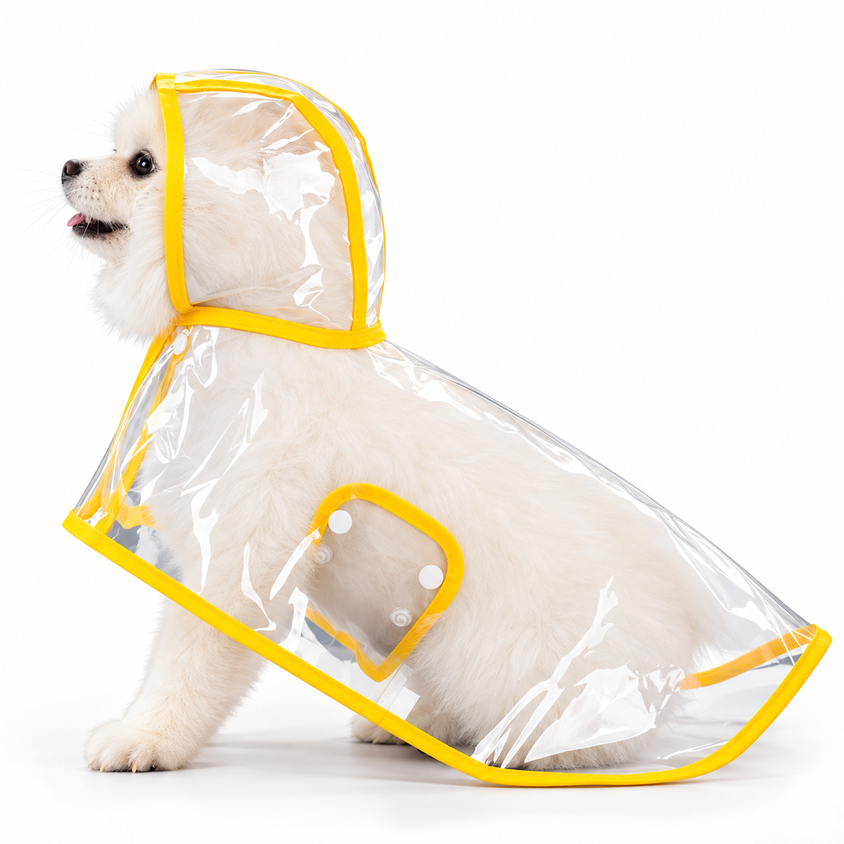 Premium Transparent Dog Raincoat