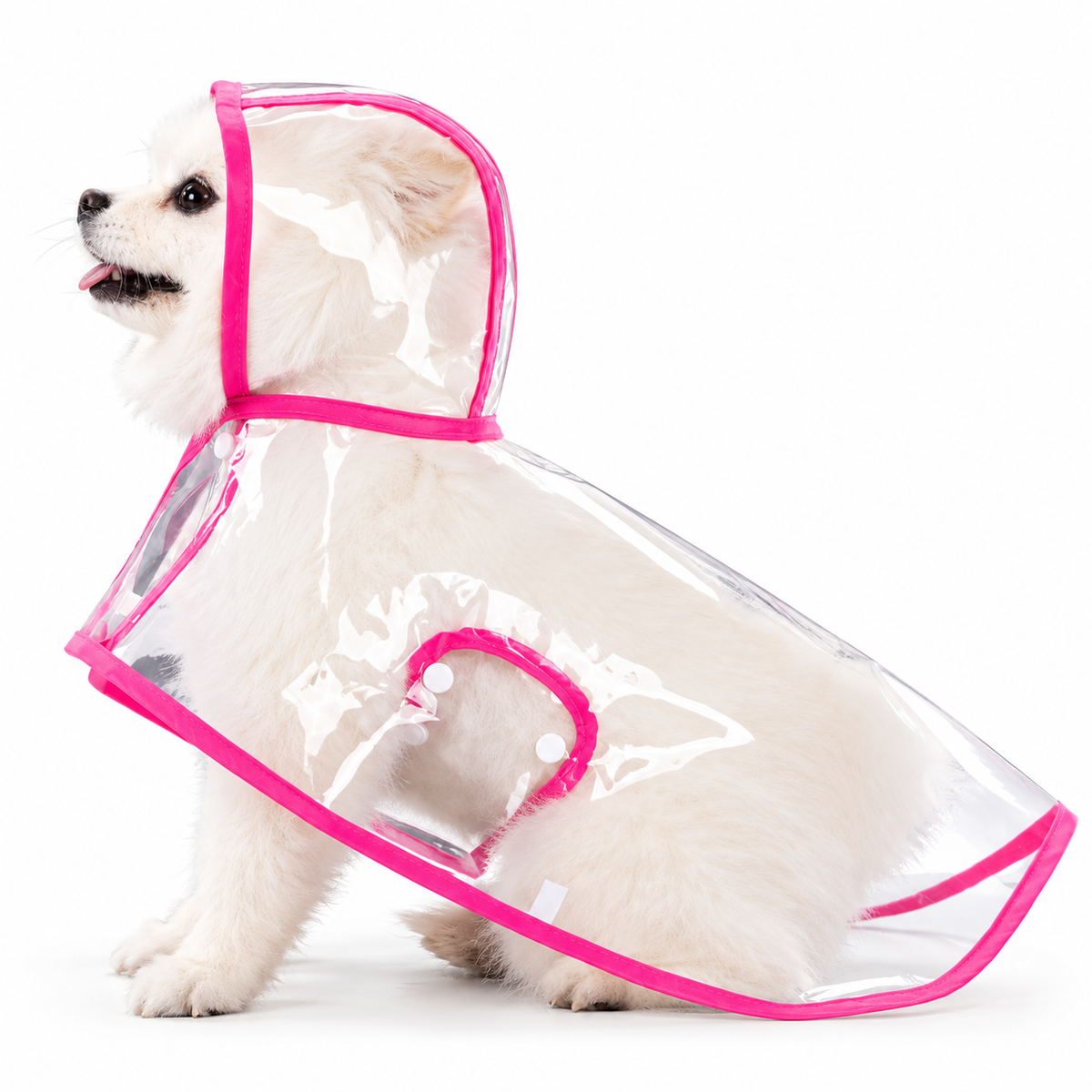 Premium Transparent Dog Raincoat