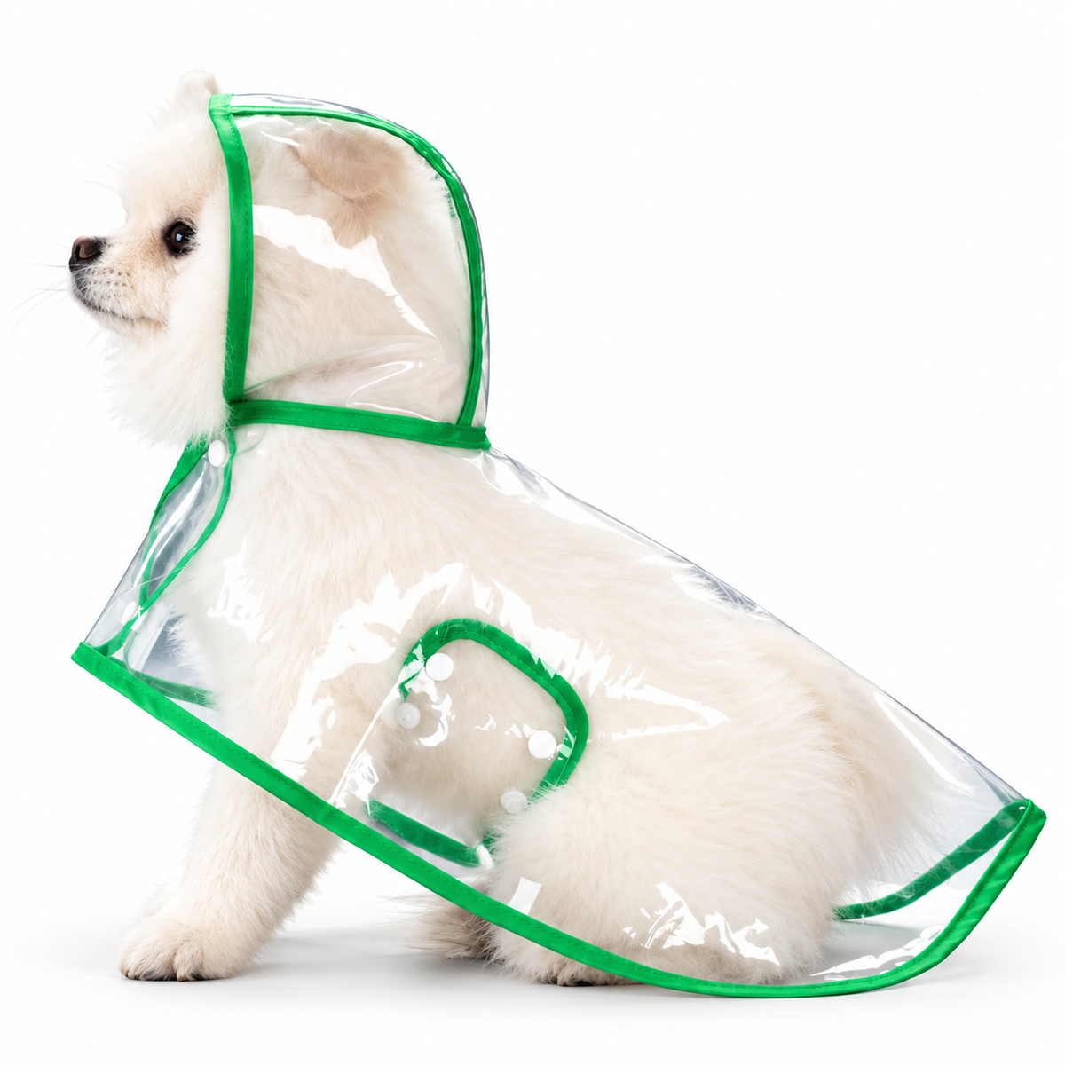 Premium Transparent Dog Raincoat