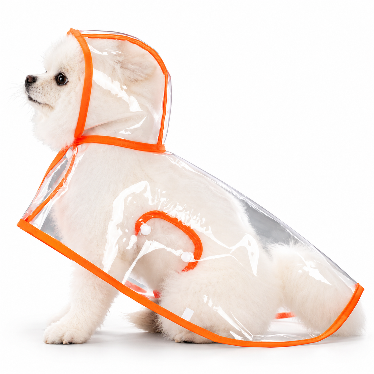 Premium Transparent Dog Raincoat